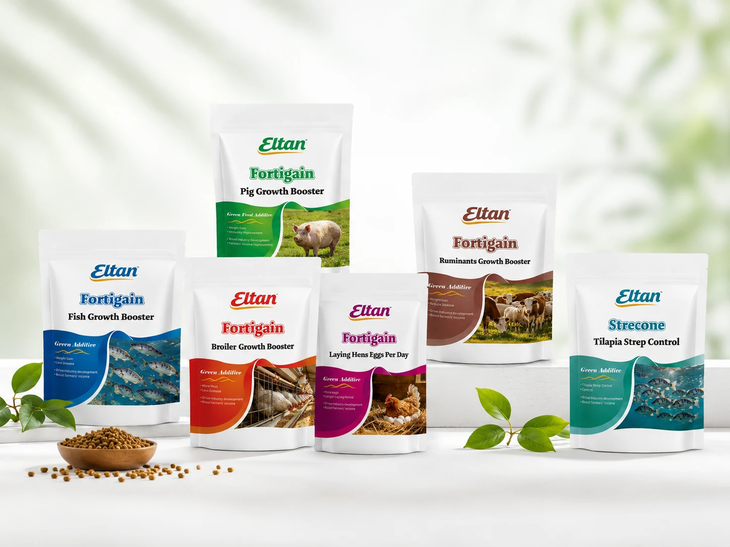 Feed Additive Solutions for Practical Animal Nutrition Programs